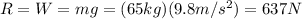 R=W=mg=(65 kg)(9.8 m/s^2)=637 N