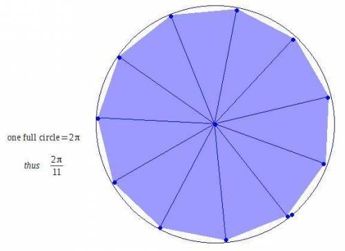 Awheel has 11 spokes evenly distributed around the rim of the wheel. what is the measure, in radians