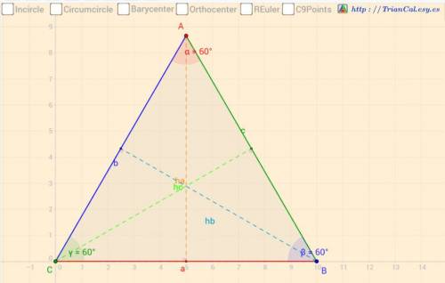 Two angle measures in a triangle are 60° and 60°. what is the measure of the third angle?  60° 80° 9