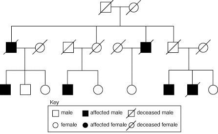 What type of inheritance patterns are exhibited by the pedigree, and how are the affected genotypes
