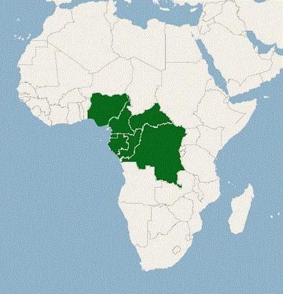 What is the green area showing? sahara desert tropical rain forest atlas mountains mt. kilimanjaro&lt;
