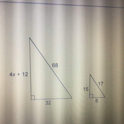 The triangles are similar. what is the value of x ?