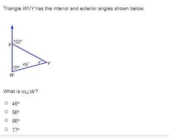 Triangle wxy has the interior and exterior angles shown below.