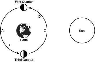 Asap i will give the following diagram shows various positions of the moon in its orbit around eart