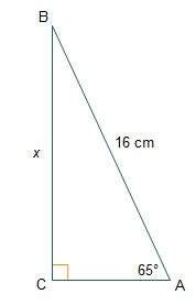 What is the length of ? round to the nearest tenth. a. 6.8 cm b. 7.5 cm c. 14.5 cm d. 17.7 cm