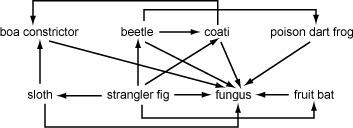What is the role of the fungus in the food web shown a. to remove dead organisms b. to convert nitr