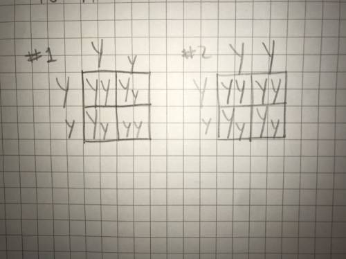 In peas, the color yellow (y) is dominant to the color green (y). how many of the four possible outc