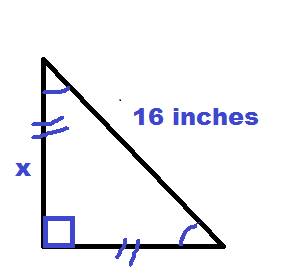 Abrace for a shelf has the shape of a right triangle. its hypotense is 16 incges long and the two le
