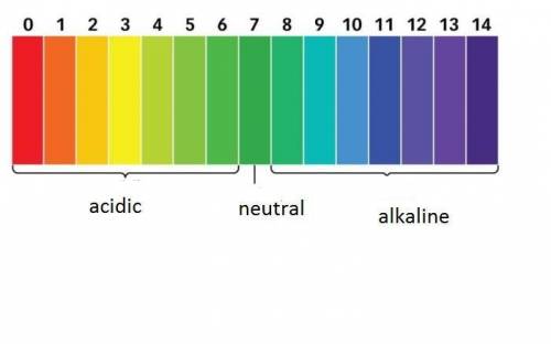 Asolution with a ph of 8 is  a. neutral  b. basic c. acidic