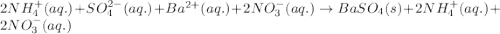 2NH_4^{+}(aq.)+SO_4^{2-}(aq.)+Ba^{2+}(aq.)+2NO_3^-(aq.)\rightarrow BaSO_4(s)+2NH_4^+(aq.)+2NO_3^-(aq.)