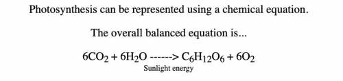 Which of the following equations represents the right chemical process that occurs in photosynthesis