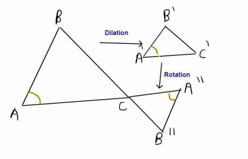 which transformations could have occurred to map to a”b”c?  a. a rotation and a reflection b.a tran