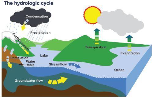 Describe how water goes through the hydrologic cycle, starting and ending with ocean water. at least