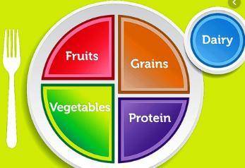 Which item belongs to one of the five food groups of in the usda’s myplate food guidance system?