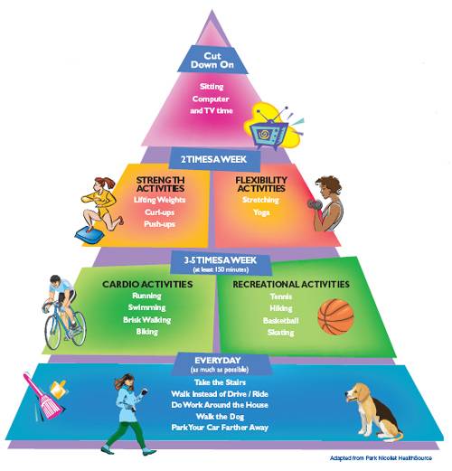 List the following four activities in the order they would go in the physical activity pyramid from