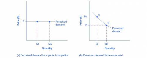 Explain the difference between the demand curve faced by a perfectly competitive firm and the demand