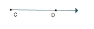 Which figures are shown in the diagram? check all that apply. line cd point d ray cd ray dc segment