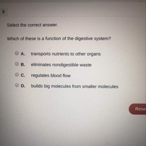 Which of these is a function of the digestive system