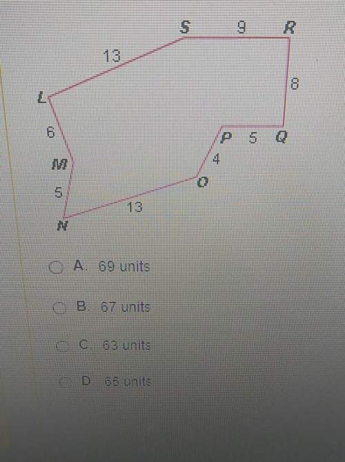 What is the perimeter of the octagon below?