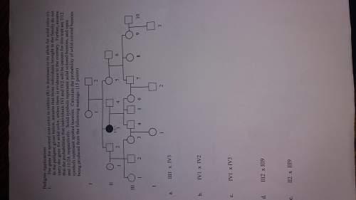 Ineed solving this problem an explain it to me plz?
