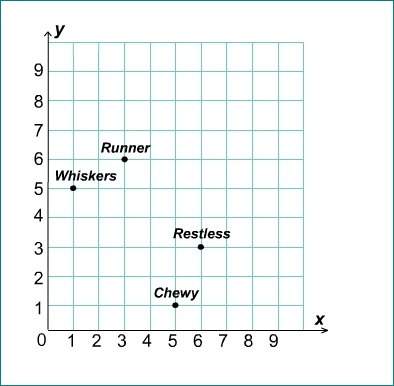 This grid shows the location of four animals. where is chewy located? a: (3, 6) b: (5, 1) c: (6, 3)