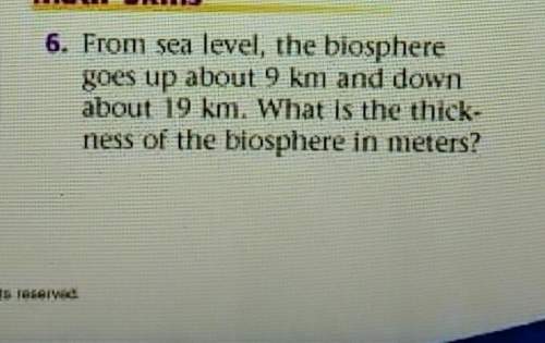 From sea level, the biosphere goes up 9km and down about 19km. what is the thickness of the biospher