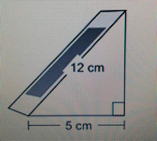 This picture shows a sandwich box: what is the approximate minimum height of a shelf in which this