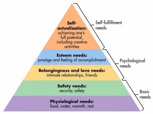 You are an aspiring entrepreneur looking at maslow's hierarchy of needs to determine what type of co