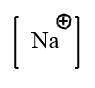 What is the lewis dot structure of the common ion for sodium?