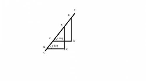 If you draw two right triangles using the line as the hypotenuse, do the triangles have to be simila