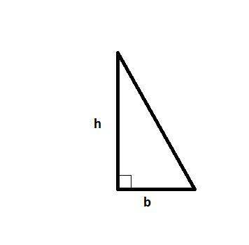 Asail is in the form of a right triangle that is three times as high as it is wide. the snail is mad