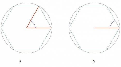 Given a regular hexagon, find the measures of the angles formed by (a) two consecutive radii and (b)