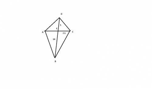 (05.02)an artist is designing a kite like the one show below. calculate the area to determine how mu