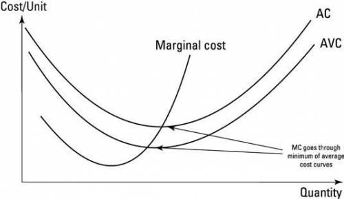 Indicate whether you agree or disagree with the following statement. 1- the marginal cost curve inte