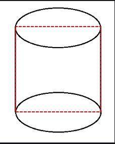 Find the shape resulting from the cross section of the cylinder