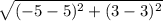 \sqrt{(-5-5)^2+(3-3)^2}