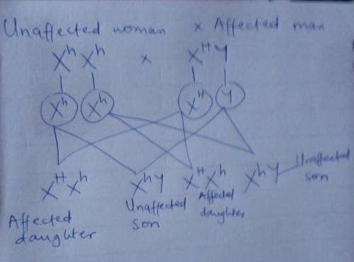 Considering an x-linked dominant trait, if an unaffected woman and an affected man decide to have ch