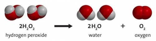 Examine the following chemical reaction, which is catalyzed by the enzyme catalase:  what molecule i