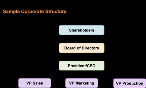 Based on the chart, the primary responsibility of shareholders is toa) run the business by electing