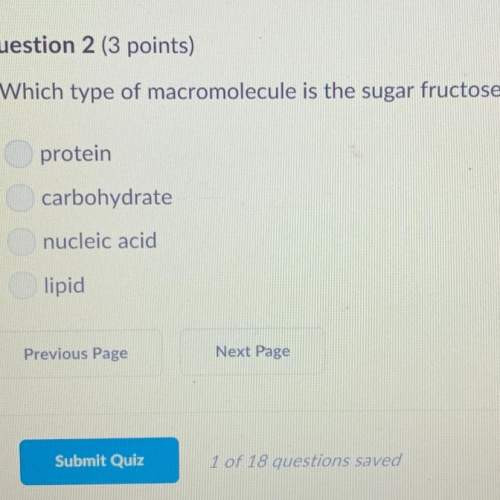 Which type is macromolecules is the sugar fructose?
