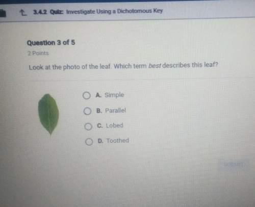 Look at the photo of the leaf, which term best describes this leaf ? a-simple.b-parallel.c-lobed.d-t