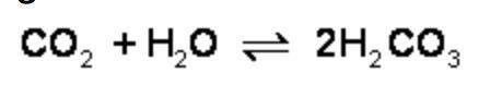 What is the effect of adding more water to the following equilibrium reaction? a. more h2co3 is pro