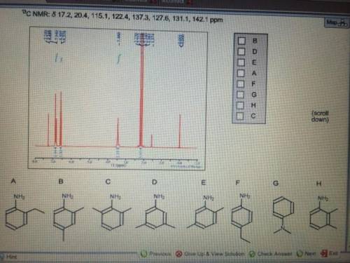 Given the 1H and 13C data below, which isomers of C8H11N fit the spectral data? 13C NMR: δ 17.2, 20.