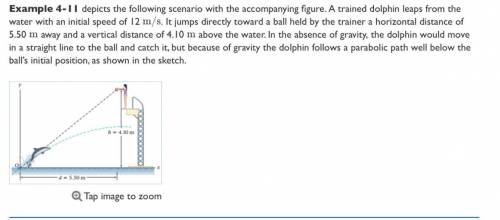 Example: Leap of FaithA dolphin leaps from the water at an initial speed of 12.0 m/s toward a ball h