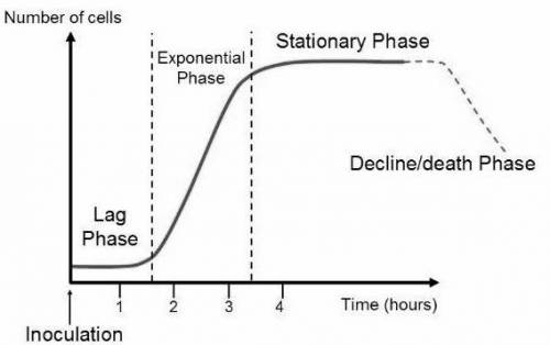 Bacterial growth curves typically can be divided into four distinct phases: lag phase, log phase, st