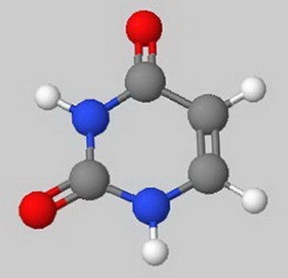 2. Which of the following nucleotide bases are BOTH pyrimidines?A. cytosine and adenineB. cytosine a