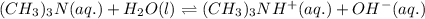 (CH_3)_3N(aq.)+H_2O(l)\rightleftharpoons (CH_3)_3NH^+(aq.)+OH^-(aq.)