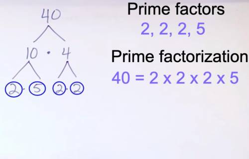 Prime factorization for 40
