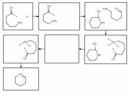 Carbonyl Compounds: Complete the following mechanism involving 5-aminopentanal Draw a reasonable mec