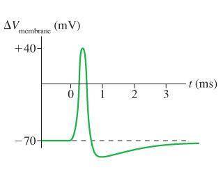 What is the strength of the electric field inside the membrane just before the action potential?